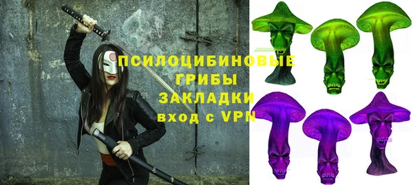 шишки Алексеевка