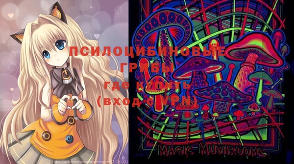 бошки Алексин