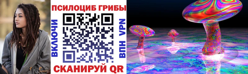 Купить  Тбилисская  Галлюциногенные грибы Psilocybe 